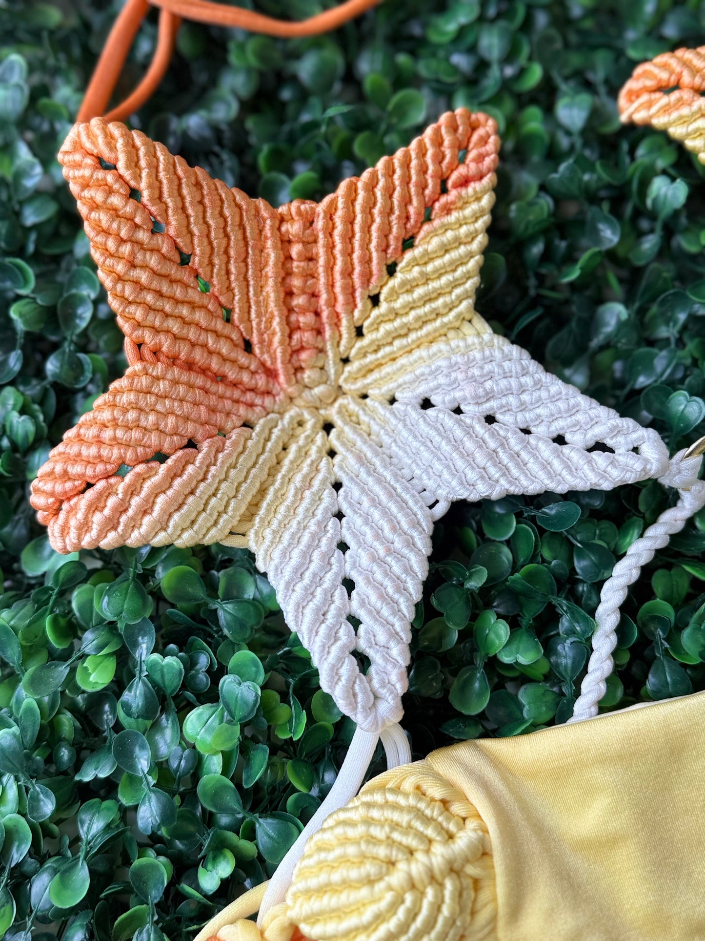 Twinkle bikini set