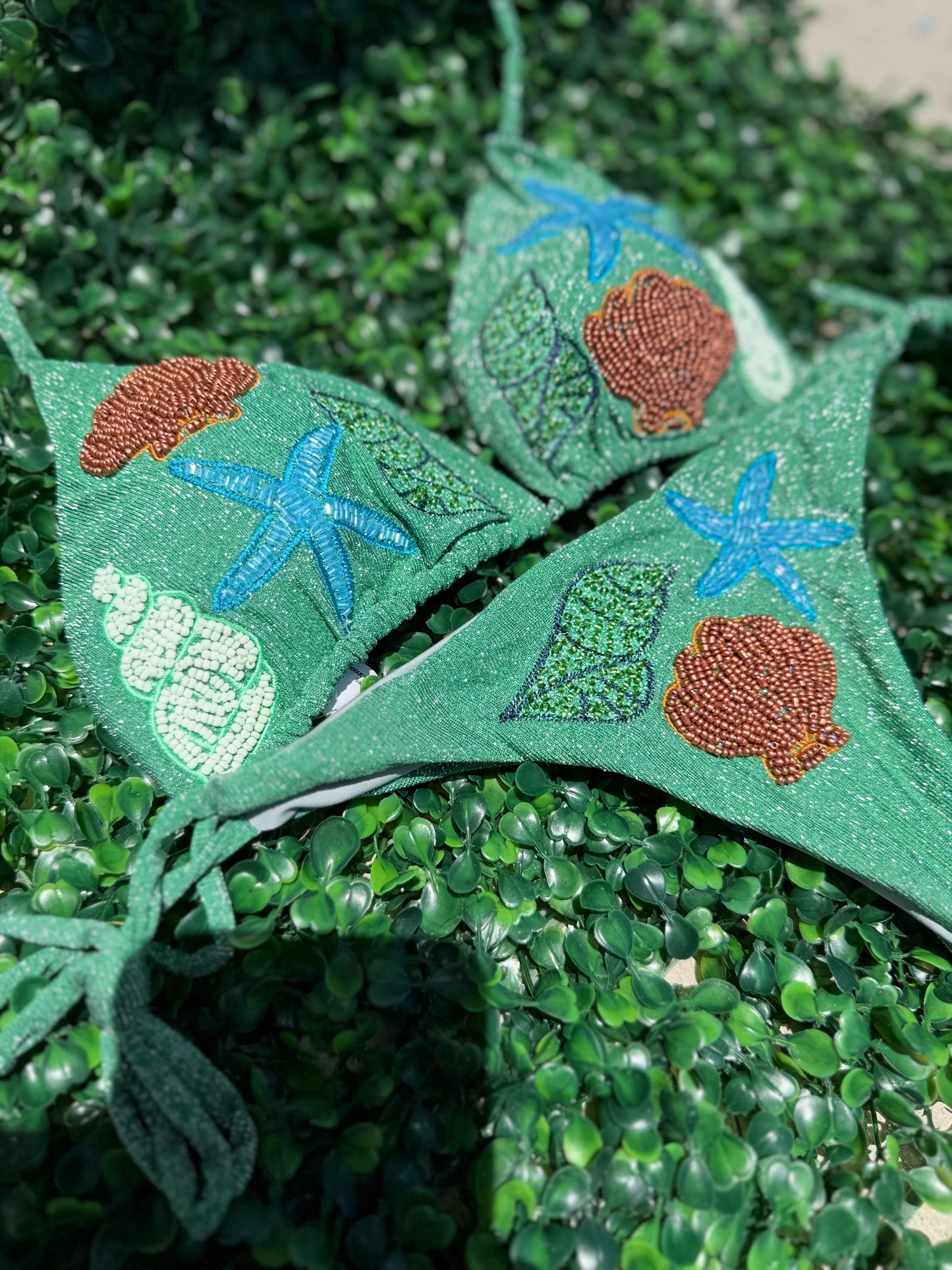 Coral reff